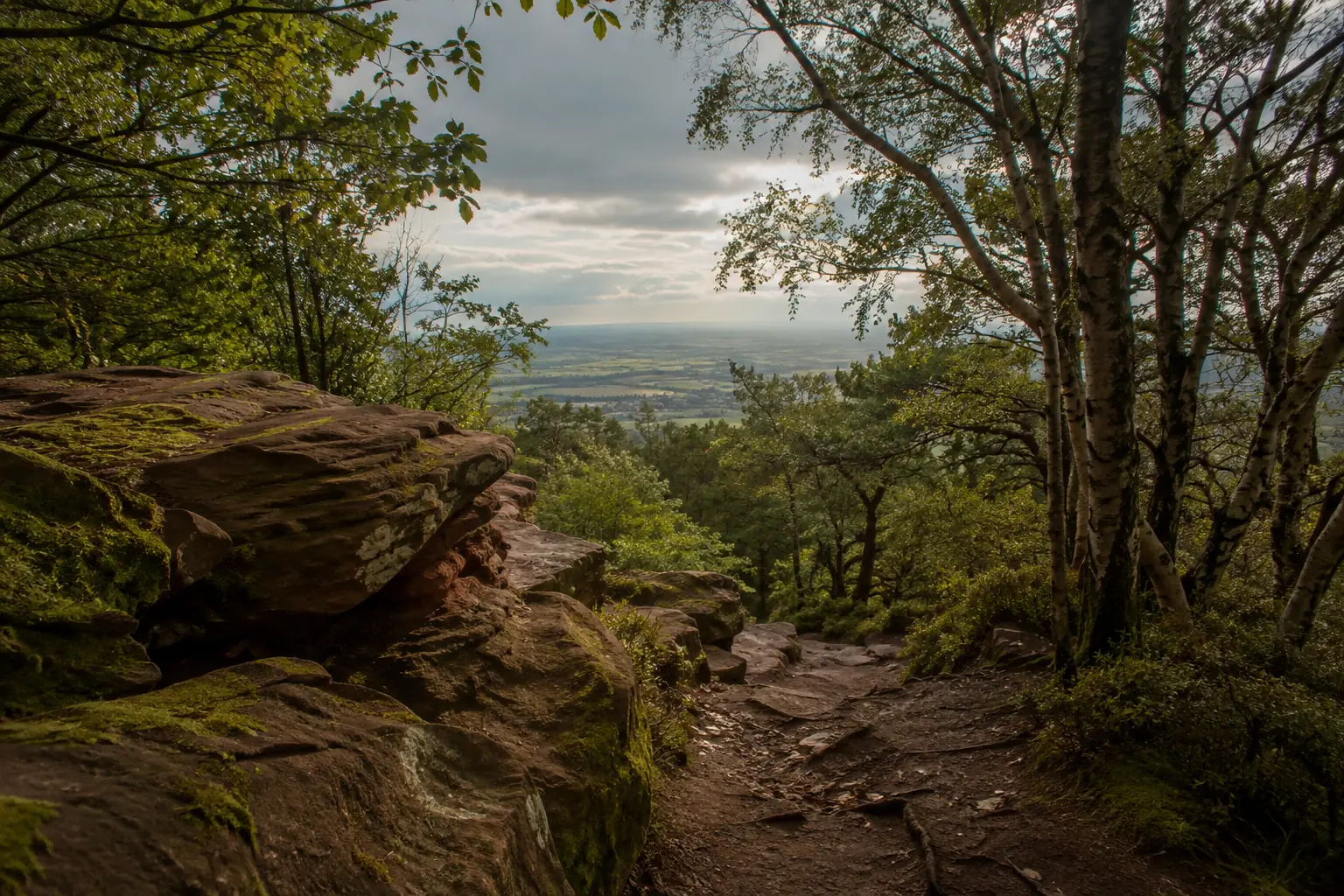 Woodland landscape at The Edge near Alderley Edge in Cheshire